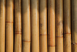 Pros and cons of bamboo packaging